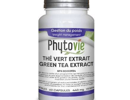 Phytovie - green tea|weight management - 60 caps Discount