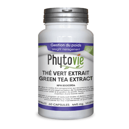 Phytovie - green tea|weight management - 60 caps Discount