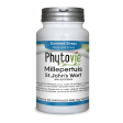 Phytovie - st. john s wort|sleep & stress - 90 vcaps For Cheap