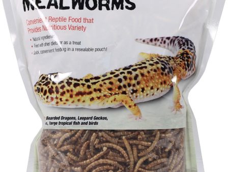 Zilla - Reptile Munchies Mealworms Online Hot Sale